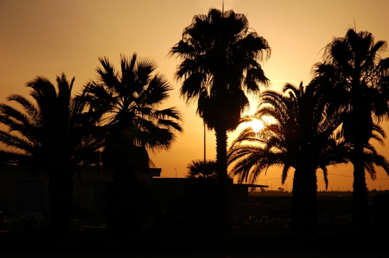 oasi africana a porto torres