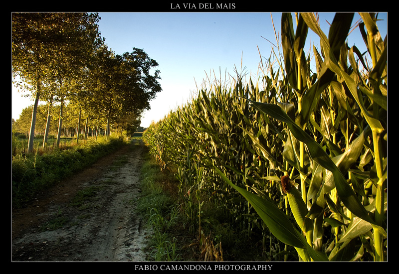 la via del mais