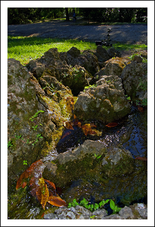 Le foglie e il treppiede