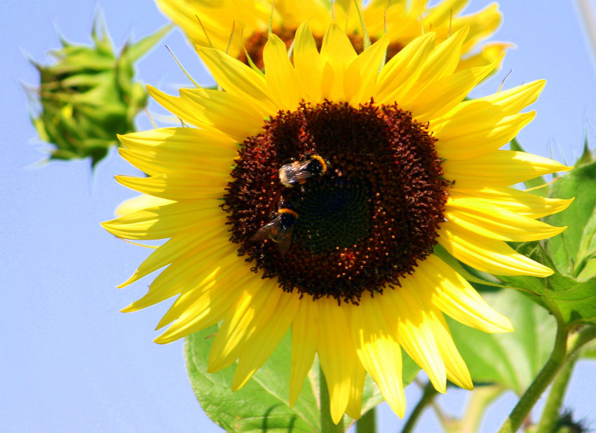 Pranzo riservato ai soli soci