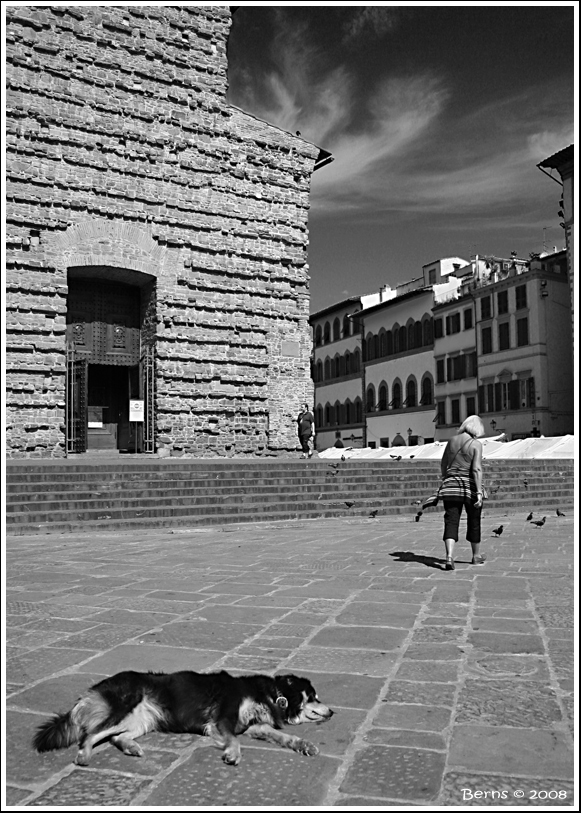 Bagno di sole o abbandono?