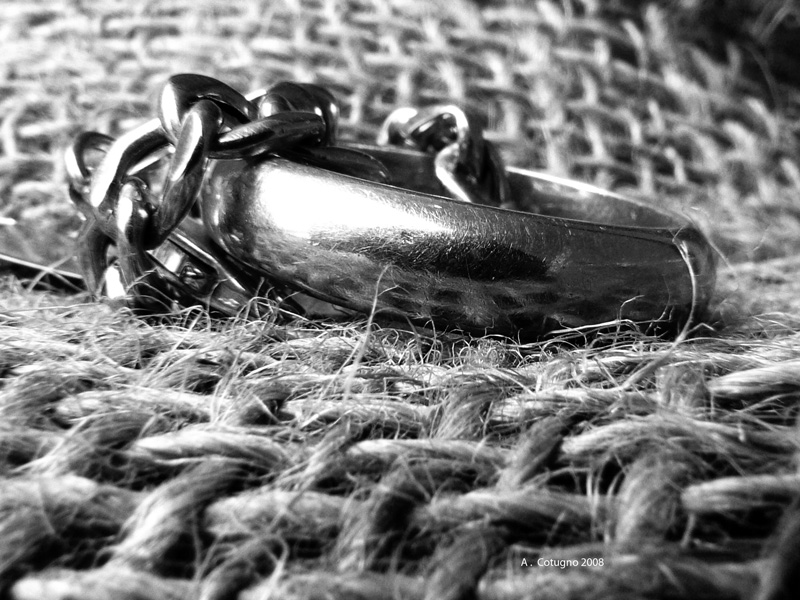 Si pu� catturare l'amore ?