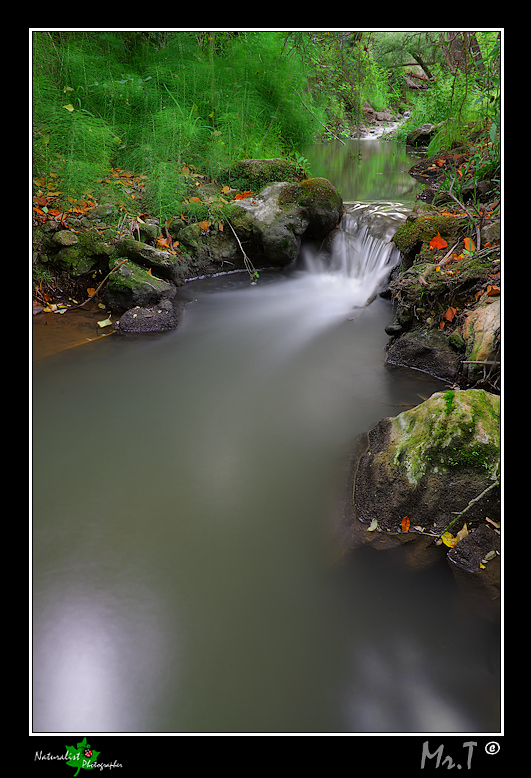 Fiumiciattolo Bon Giovanni