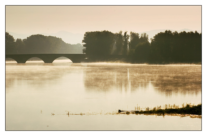 fresca mattina d'estate