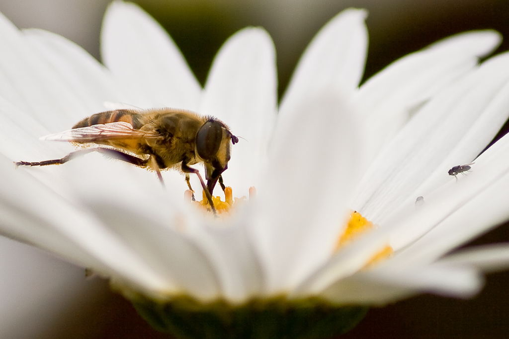 aspettando il proprio turno