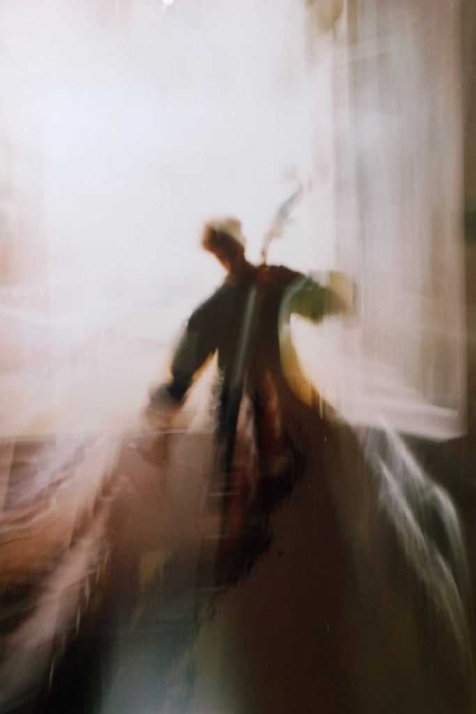 contrabbasso diafano