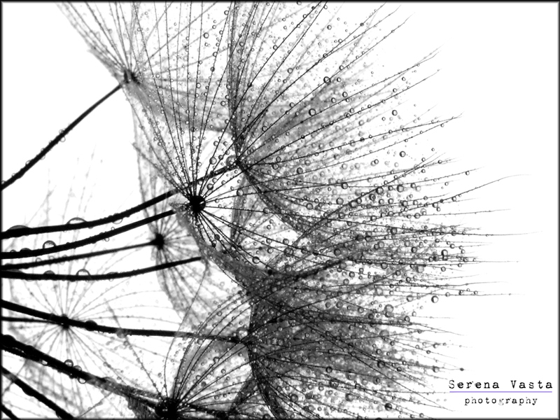 Il patto � stringerci di pi� prima di perderci