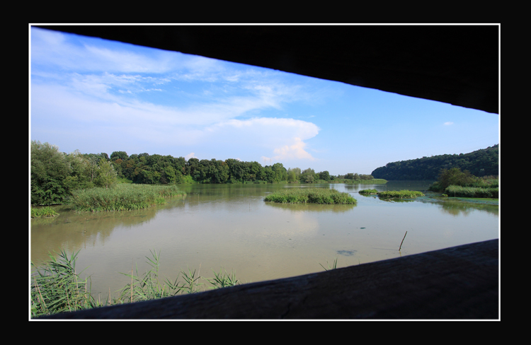 Conflunza Tevere-Farfa dal capanno...