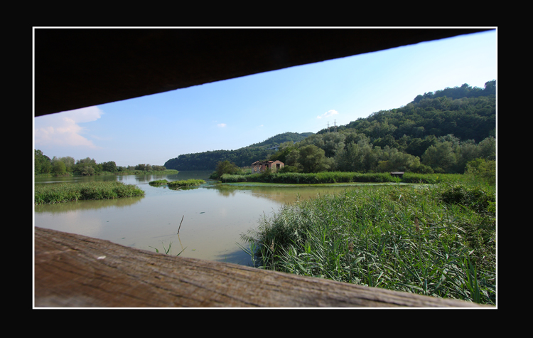 Vista dal capanno proibito...