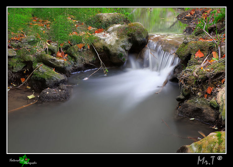 Fiumiciattolo.....il ritorno..
