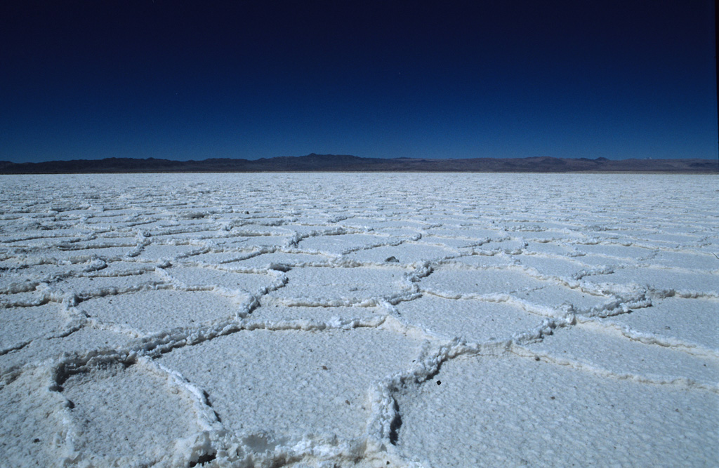 atacama  particolare del salar