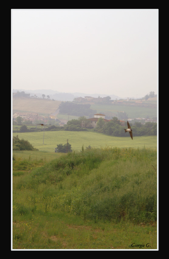 Sotto un cielo grigio.....
