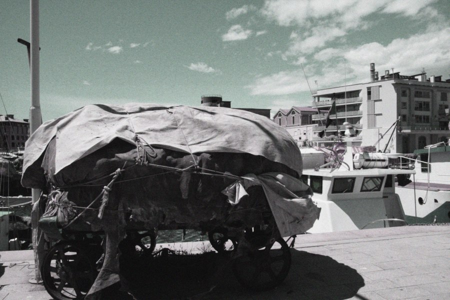 Mai mettere il carro davanti ai buoi, ma se non ci sono pi� buoi?