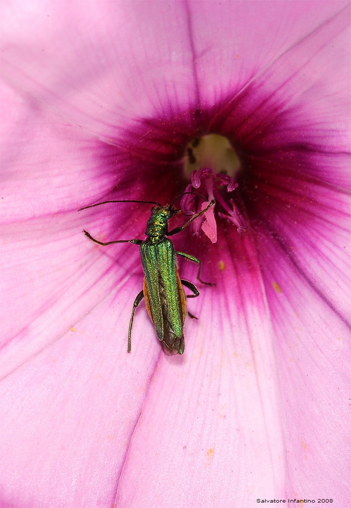 Il mio appartamento.