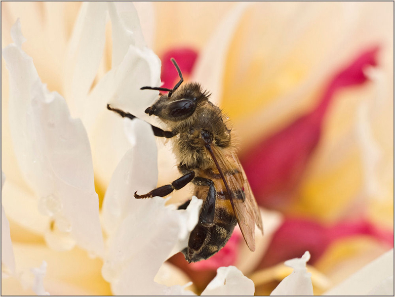 PIOVE, MI RIPARO QUI