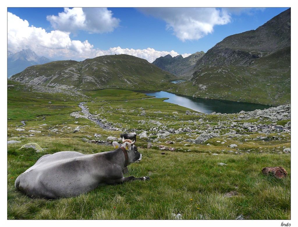 Un posto in prima fila