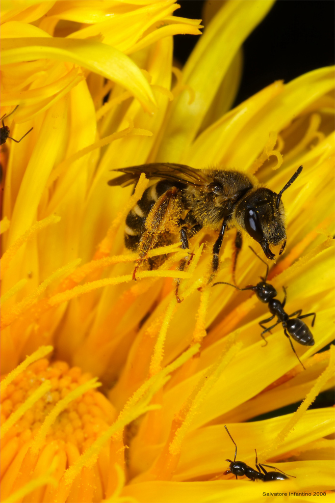 ...quattro chiacchere tra amici...
