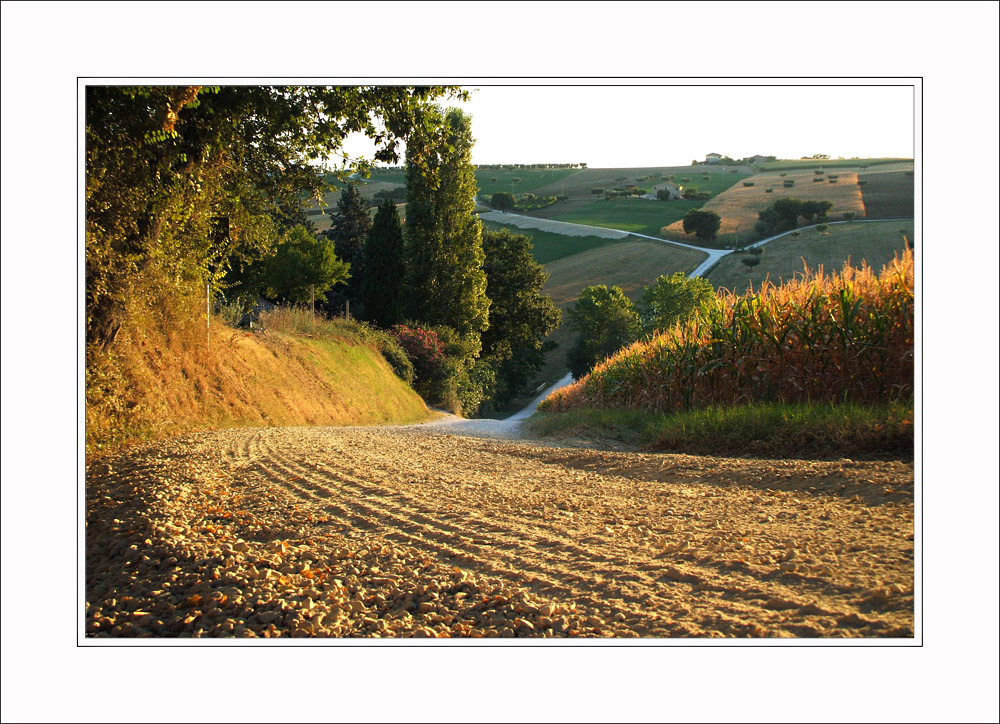 Qualcuno � passato di qua...