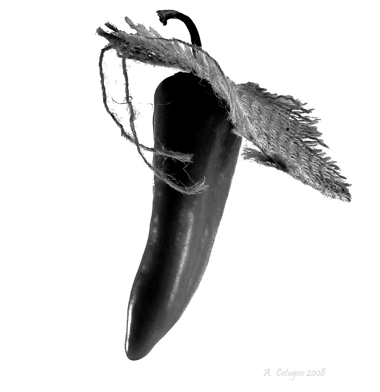 Bastasse un mantello.....