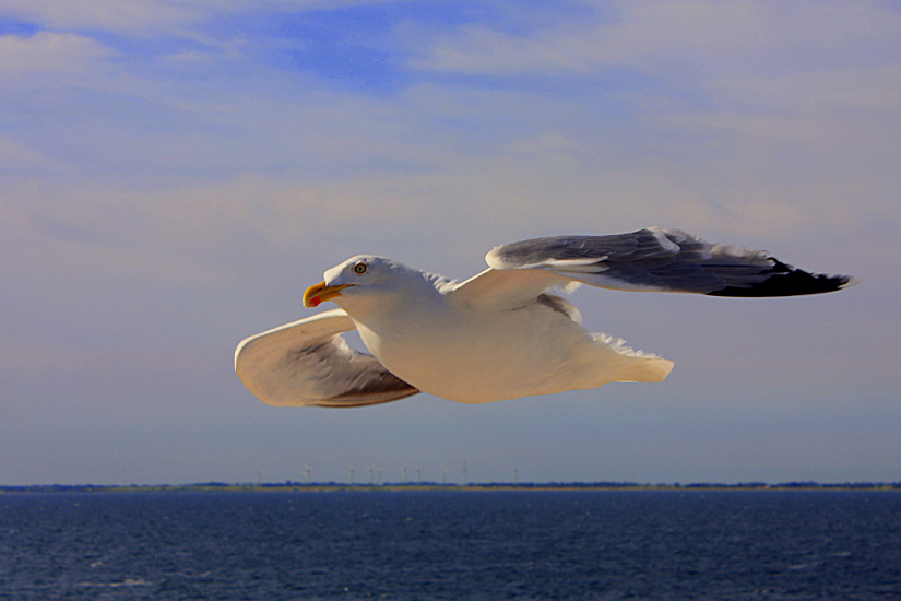 EH NO, SONO PIU' BELLO IO DI QUELLO DI IERI!!!