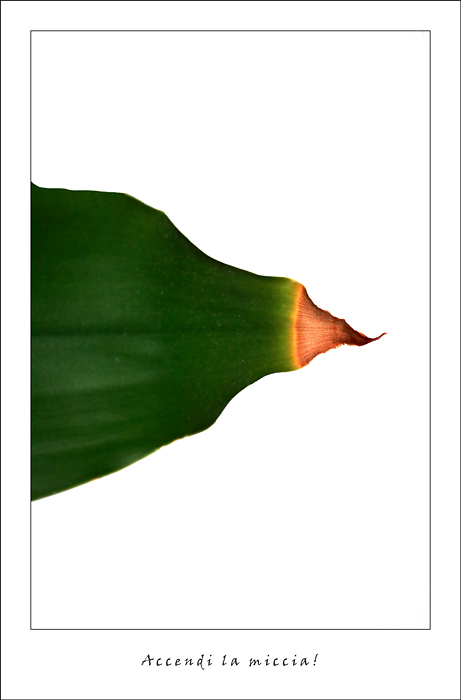 accendi la miccia!