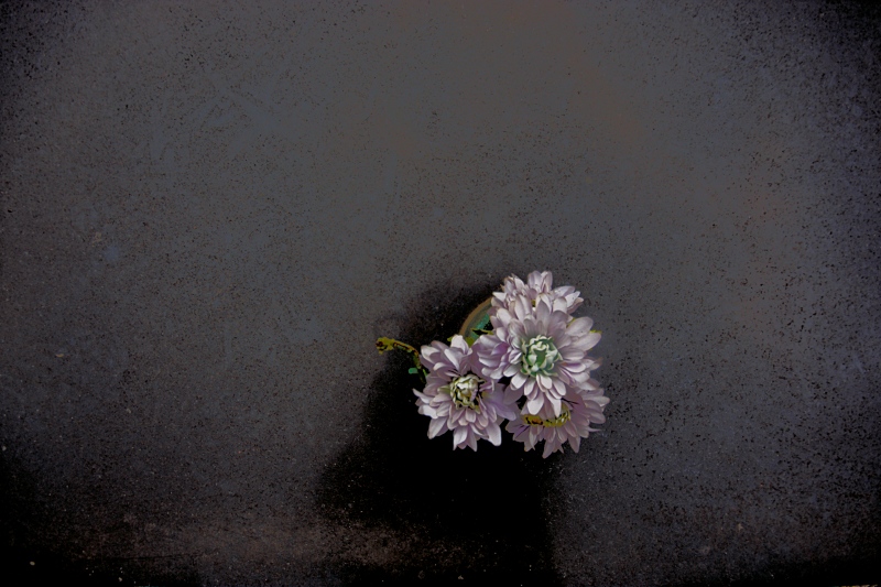 Ricordare Con I Colori