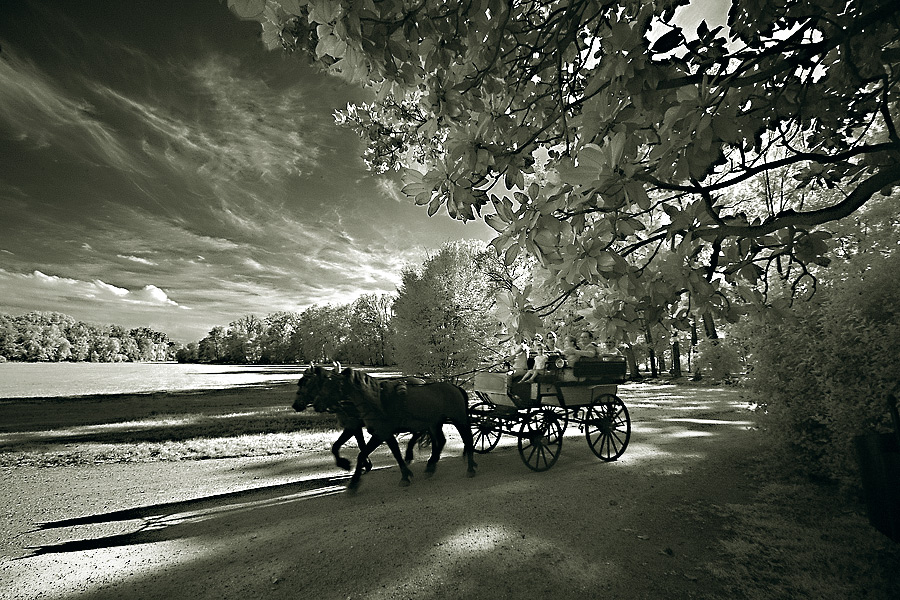 Racconigi (Cn), gita nel parco_1