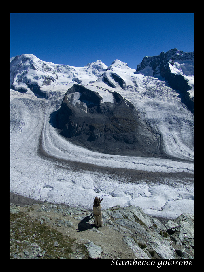 E' l'ora della pappa...