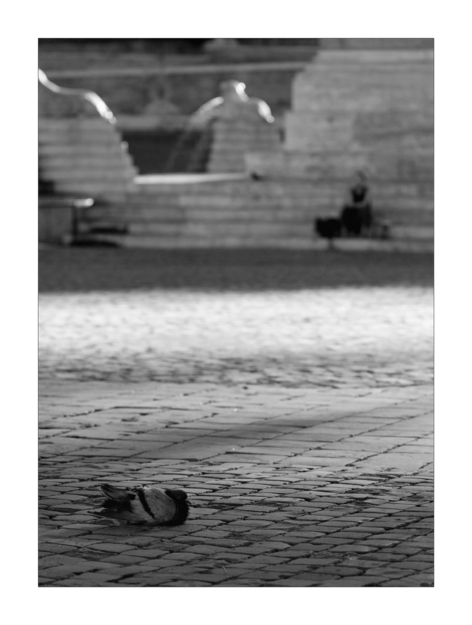 La doppia faccia della solitudine.