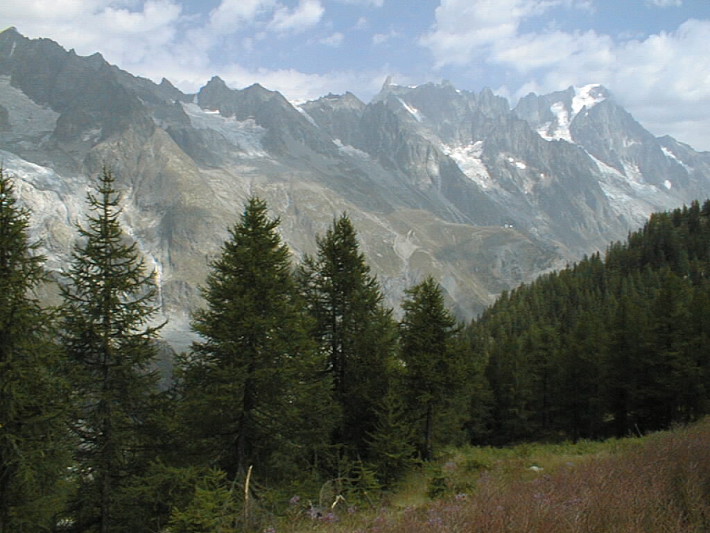 Courmayeur - Val Veny - Grand Jorasses