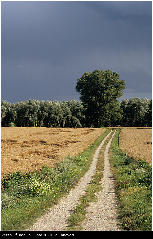 Verso il fiume Po