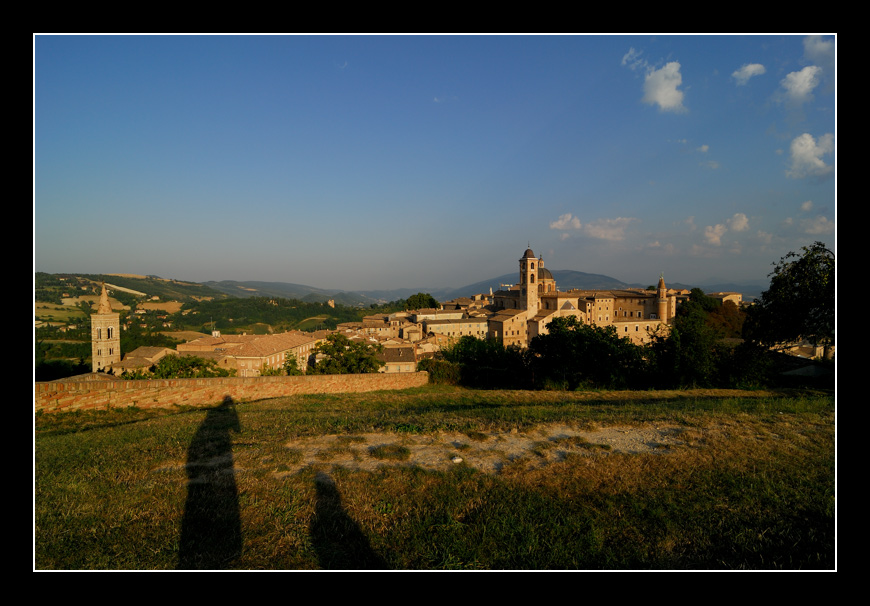 Urbino