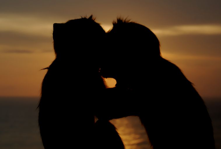 kiss me and love me....