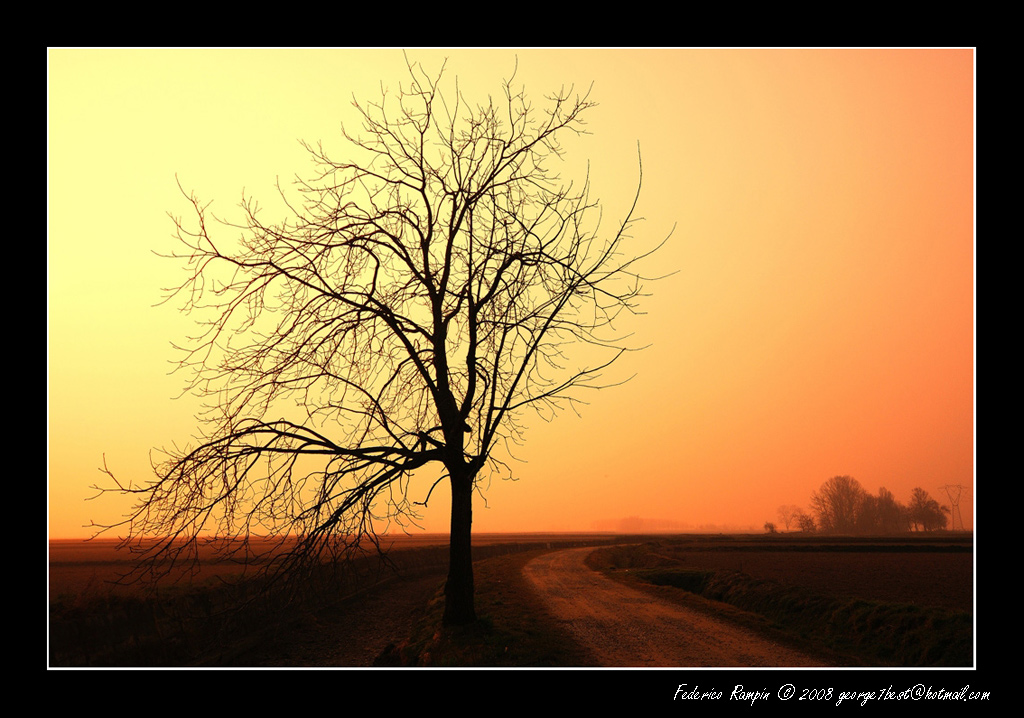 Solitario al tramonto