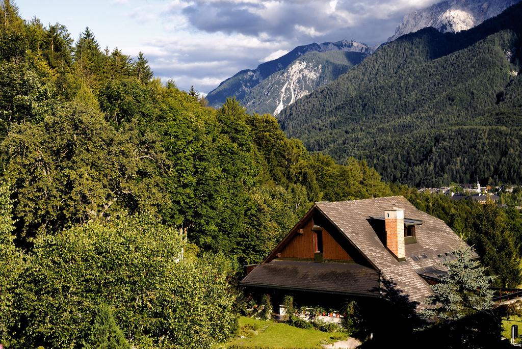 Kranjska Gora (Slovenia)