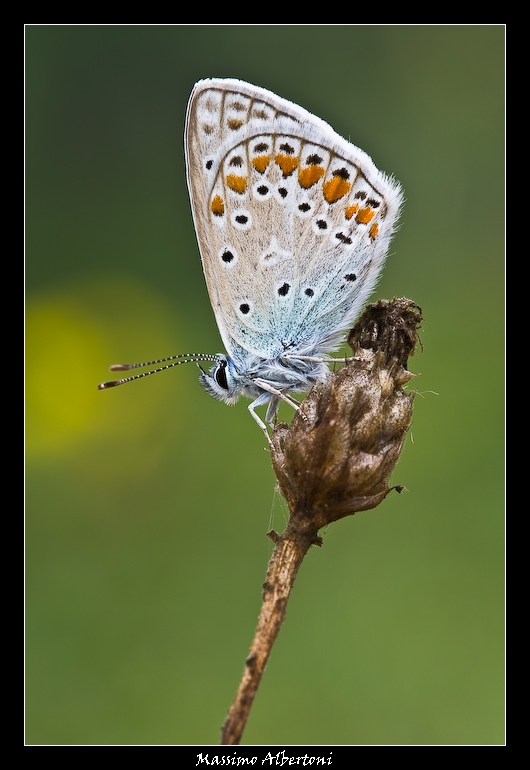 Con il freno a mano tirato!