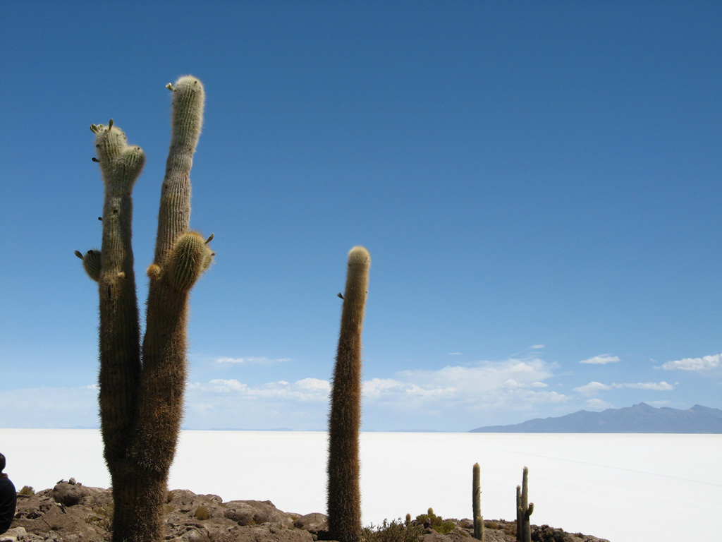 Bolivia2007 salar