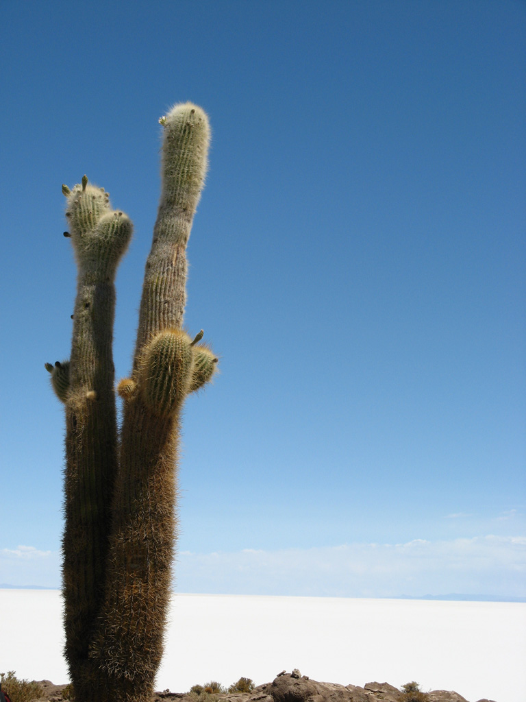 Bolivia2007 salar