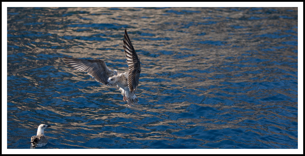 spostatiiiiiiiiiiiiiiiii