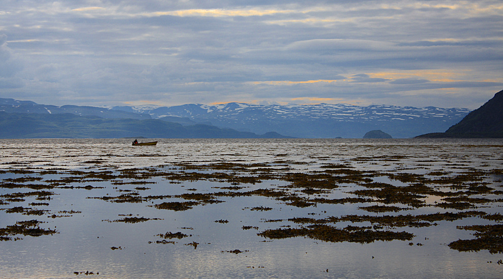 PESCATORE IN BASSA MAREA