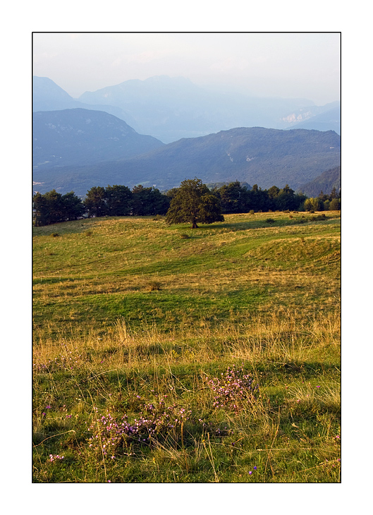 La Quercia