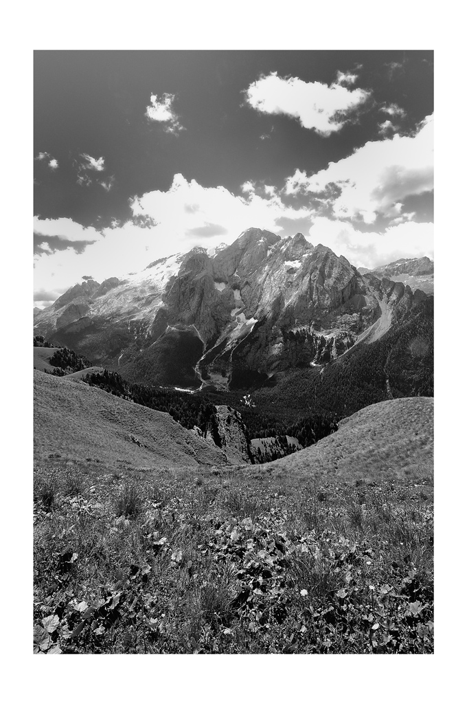 Gi� lungo il prato