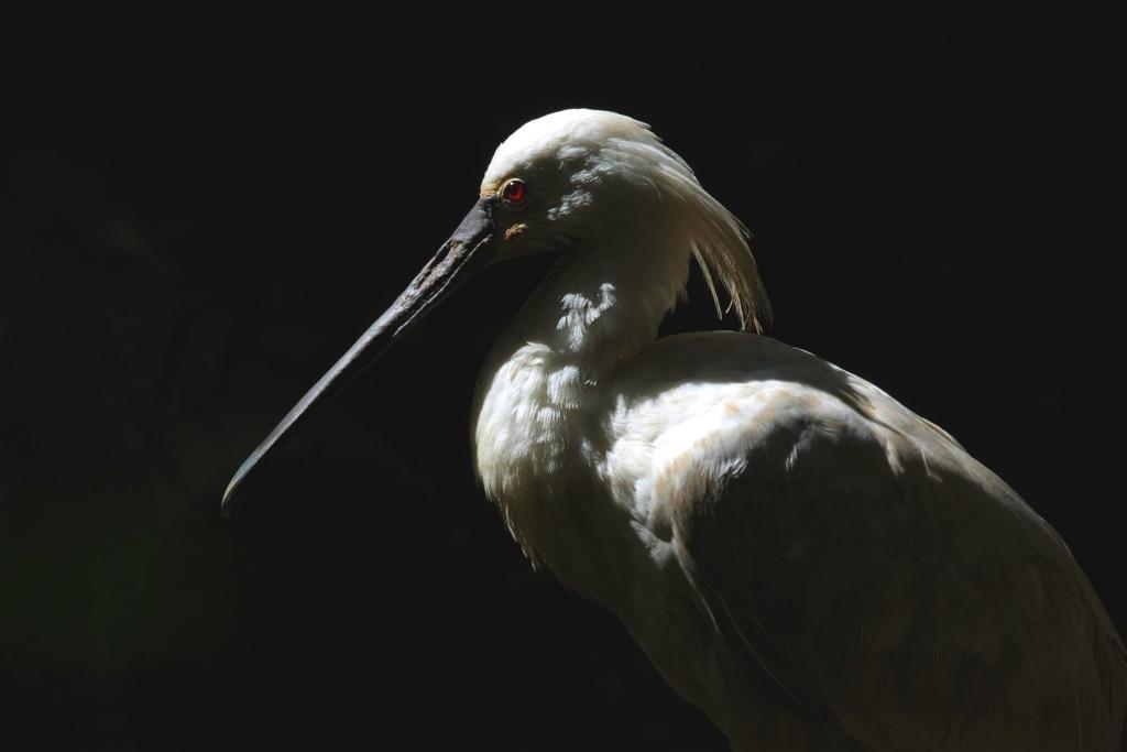 Il profilo migliore..