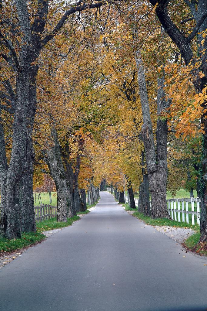 Torna l'autunno sul Carso triestino...