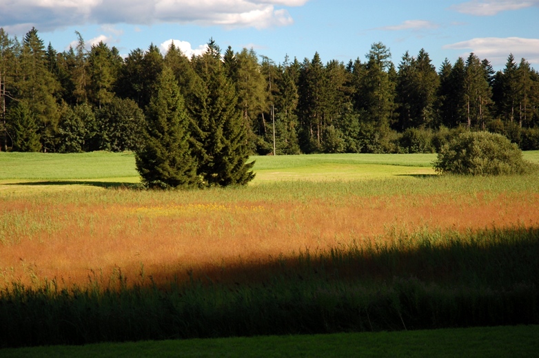 ....prati incantevoli