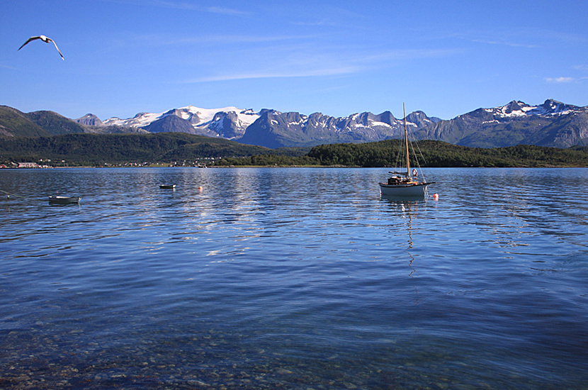 LE BARCHE E IL GHIACCIAIO