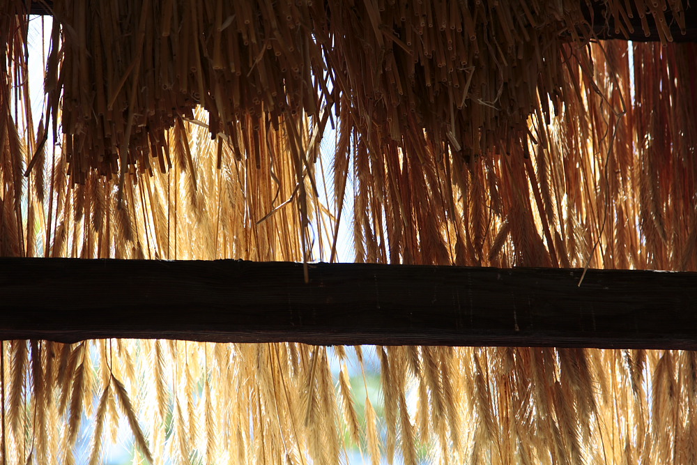 Casa Tedy Gressoney la Trinit�  Grano al sole