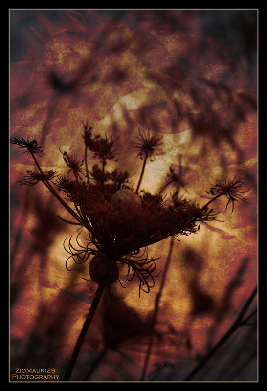 ..Immobile, al centro, nella calura..