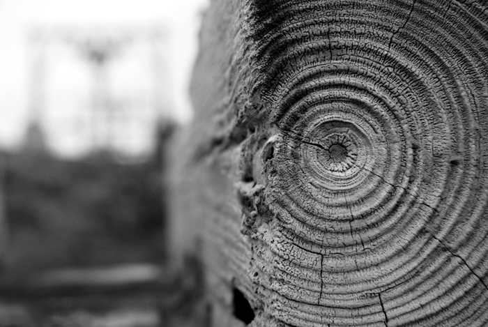 Isola di Sal, Capo Verde (11)