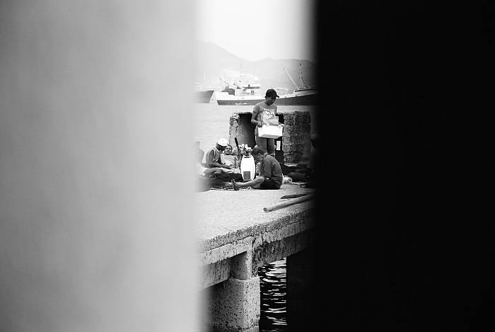 Mercato del pesce (4)